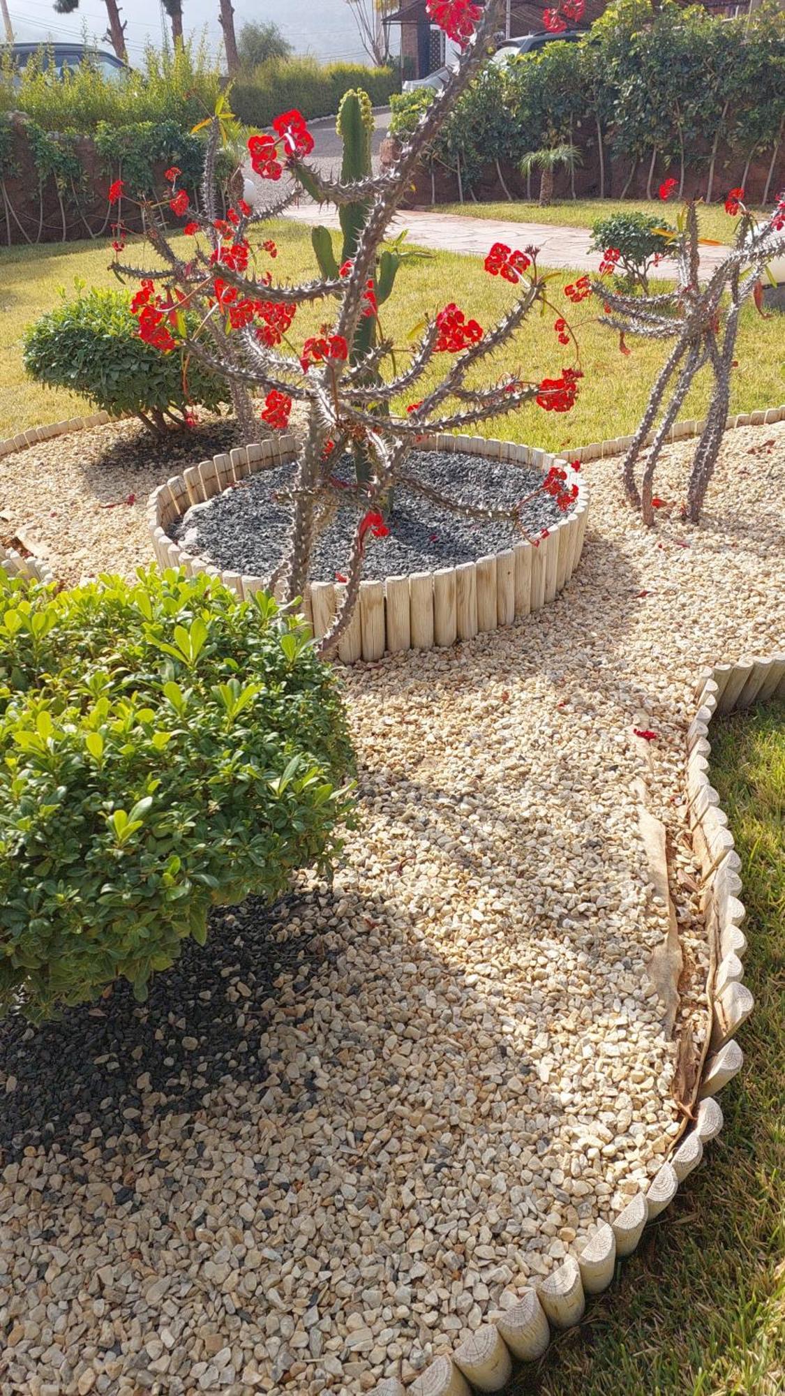 Bed and Breakfast Chez Mamouchthka Ourika Exterior foto