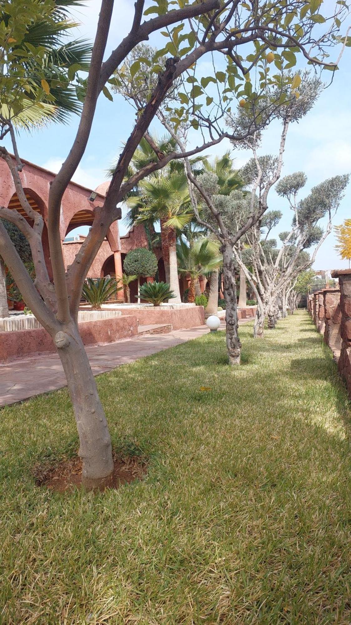 Bed and Breakfast Chez Mamouchthka Ourika Exterior foto